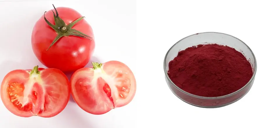 Bulk Lycopene Powder