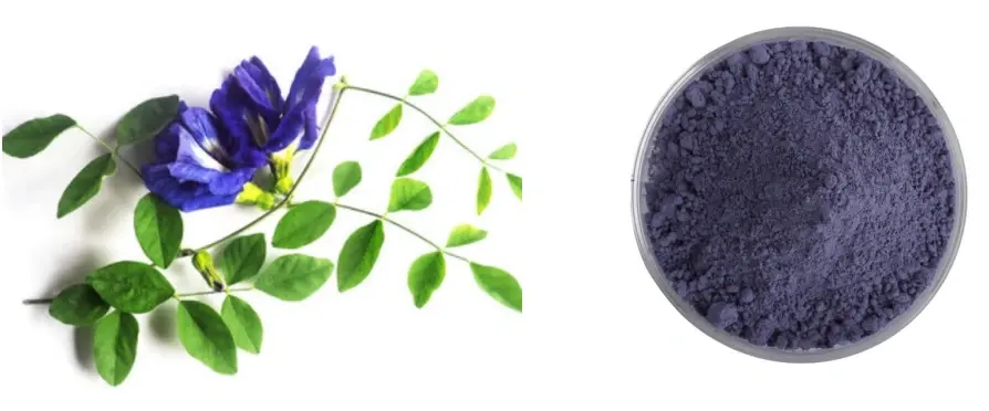 Butterfly Pea Flower Powder Butterfly Pea Flower Powder