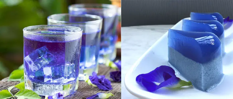 Butterfly Pea Flower Powder 