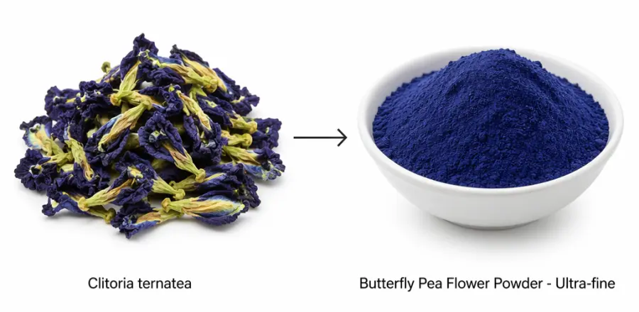Butterfly Pea Flower Powder